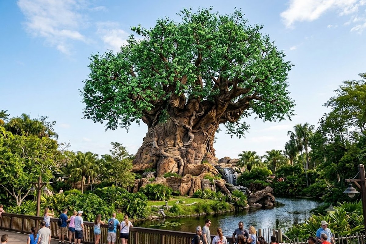Animal Kingdom