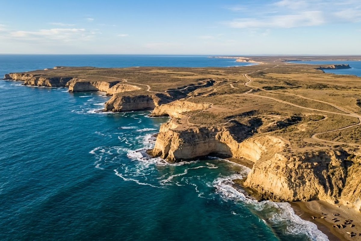 Puerto Madryn — Ballenas y Pingüinos · Gemicheck